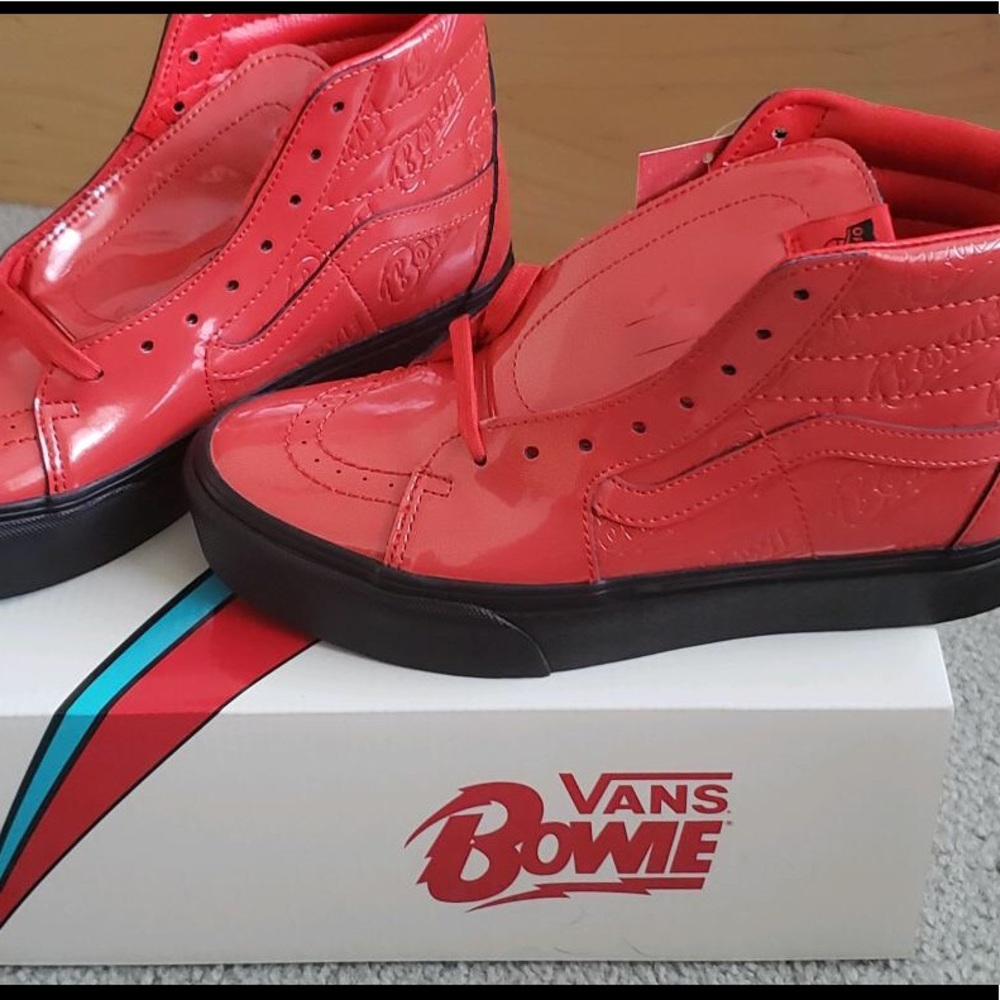 Vans David Bowie Sk8-Platform Ziggy Stardust shoes